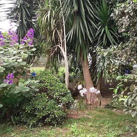 Quinta Ras